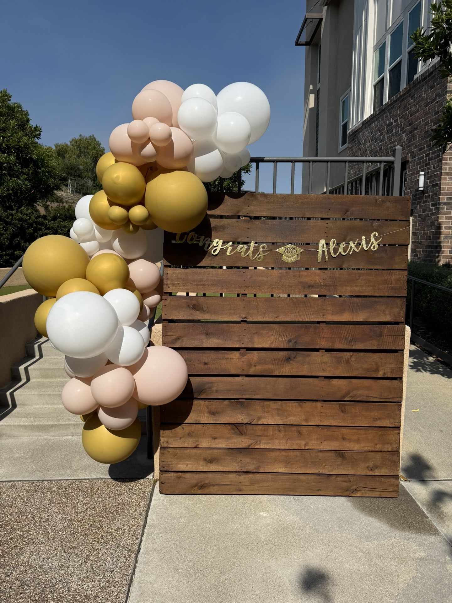 10ft Balloon Garland And Backdrop