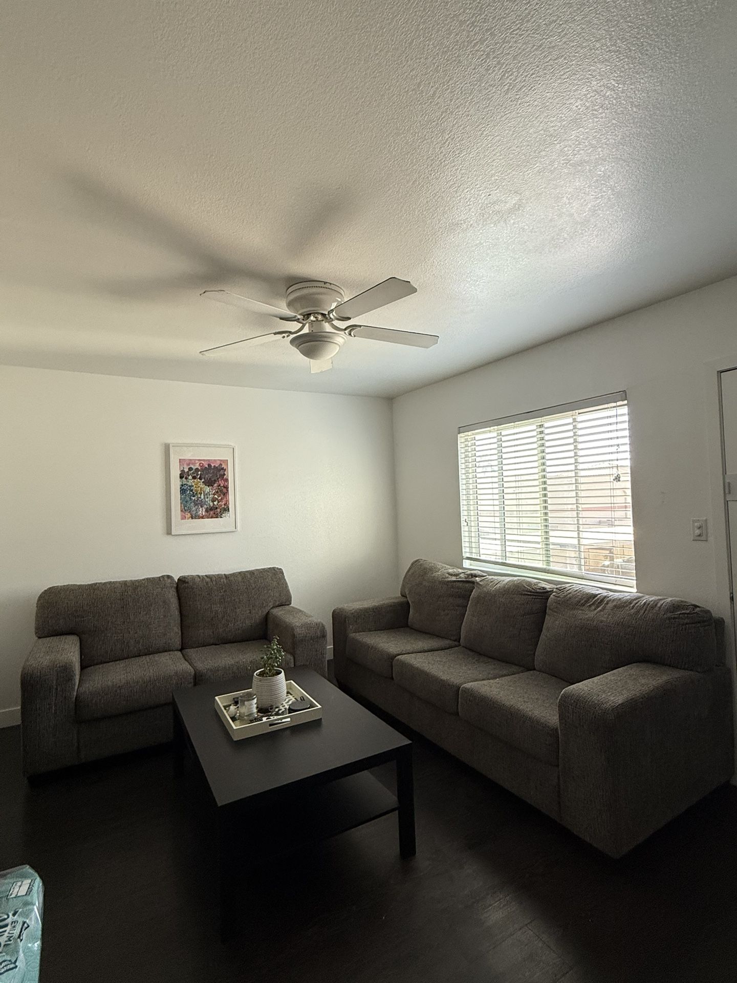 Two Couch Sofa Set 