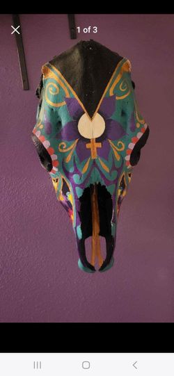 painted horse skull