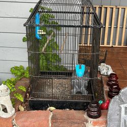 Bird Cage