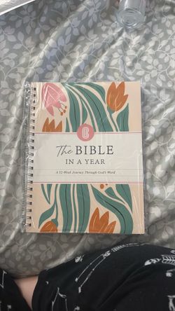 Bible In A Year