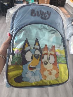Bluey book bag