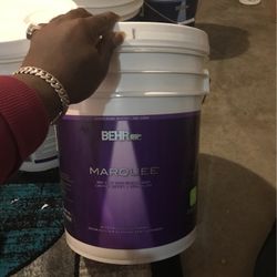 Behr Marquee Ultra Pure White No 2450