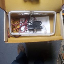 Neon License Plate Frame