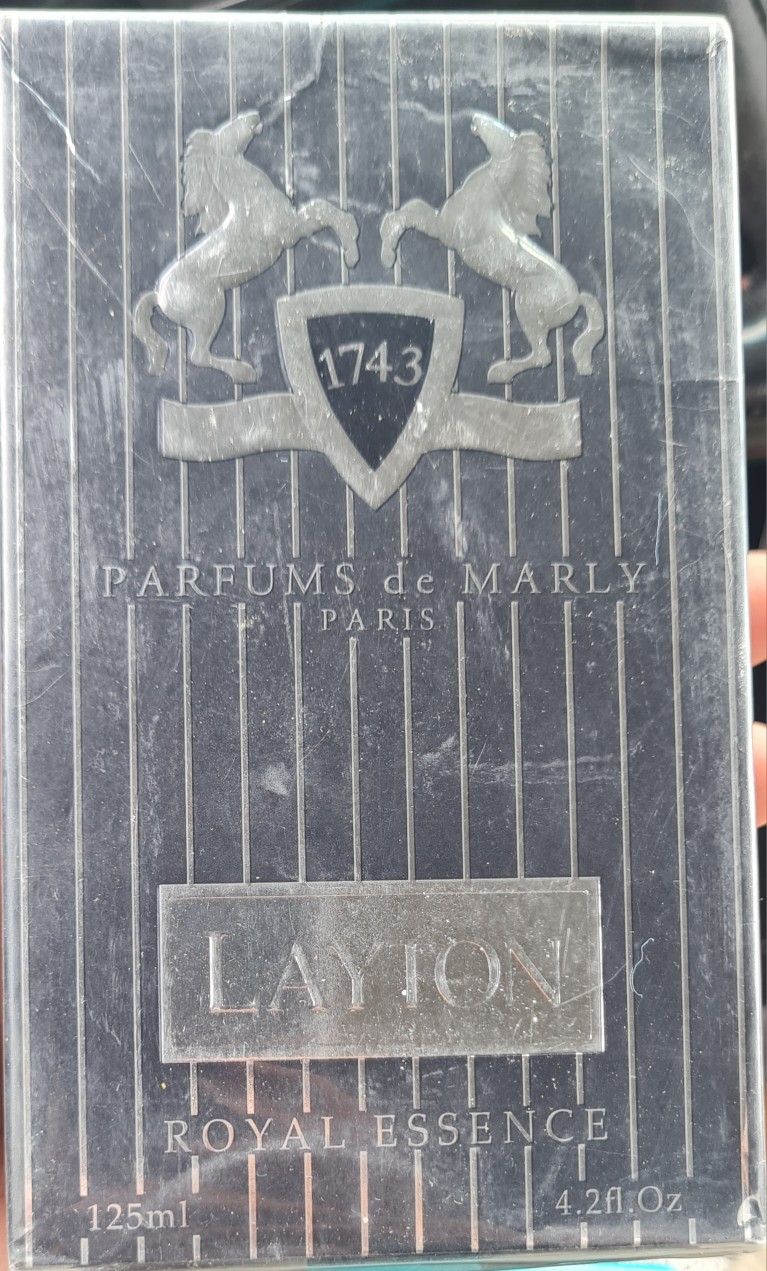 Brand New Layton 