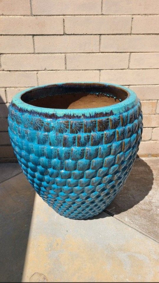 Big Ceramic Pot Tree/Plants