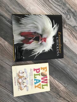 2 BOOKS extraordinary chickens and foul play puzzle book