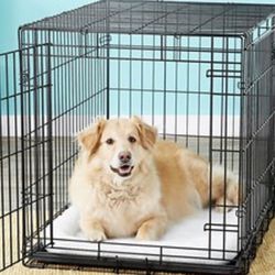 Dog Crates ( 2 Of Them ) - 32” - $ 25 For One Or $40 For Two 