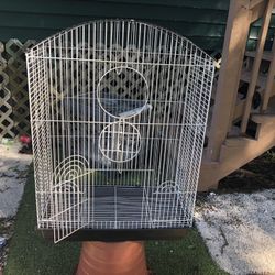 Birds Cage 