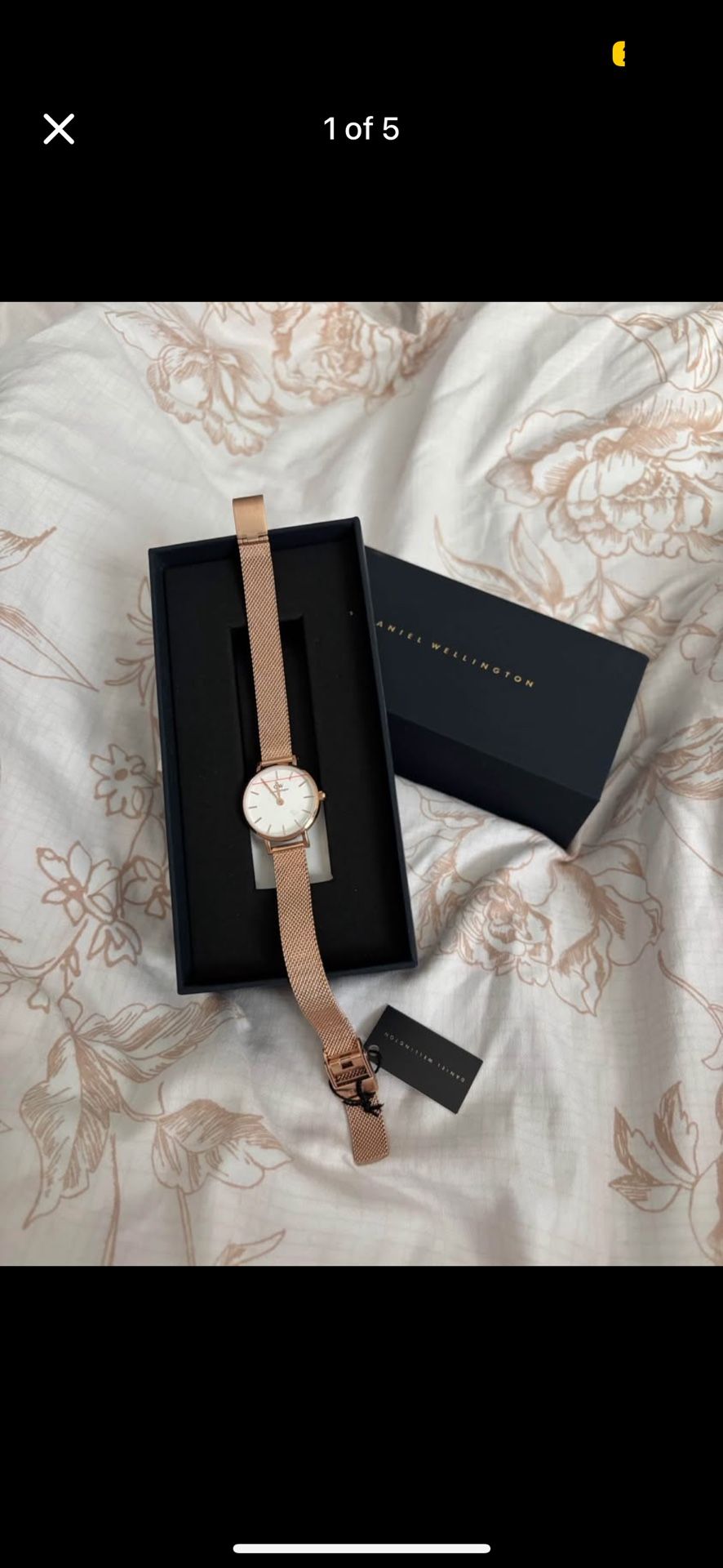 Daniel Wellington 24mm rose gold watch