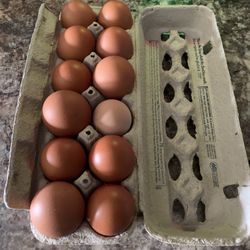 Farm Fresh Free Range Eggs