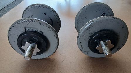 25lb dumbbells