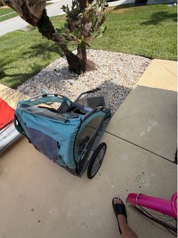 Bicycle kid/pet carrier