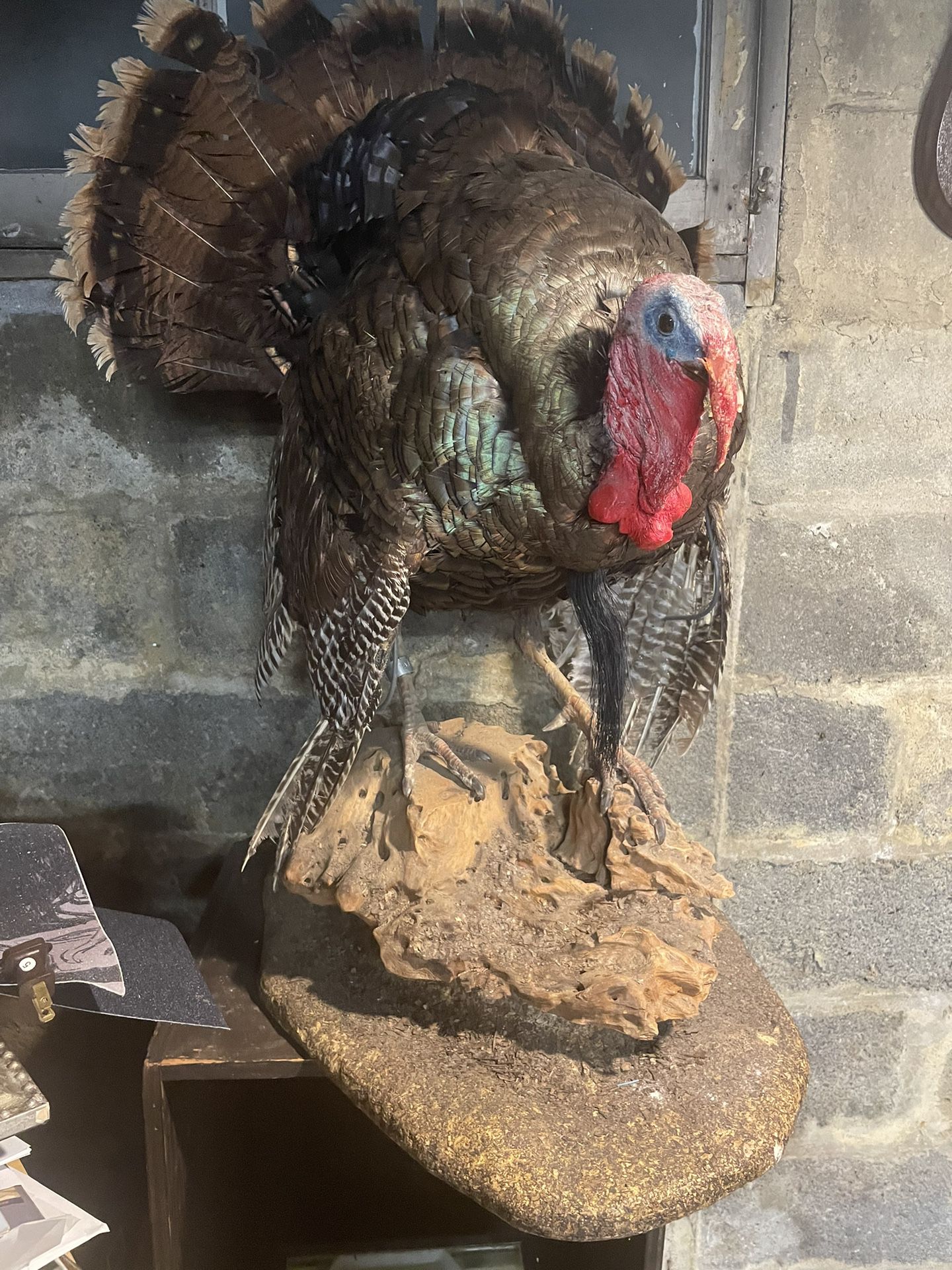 Full Turkey Mount