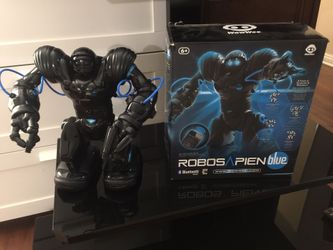 Robos Pien robot