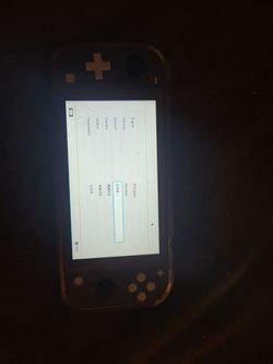 Nintendo swich lite (broken USB C)