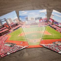 St. Louis Cardinals stadium panorama