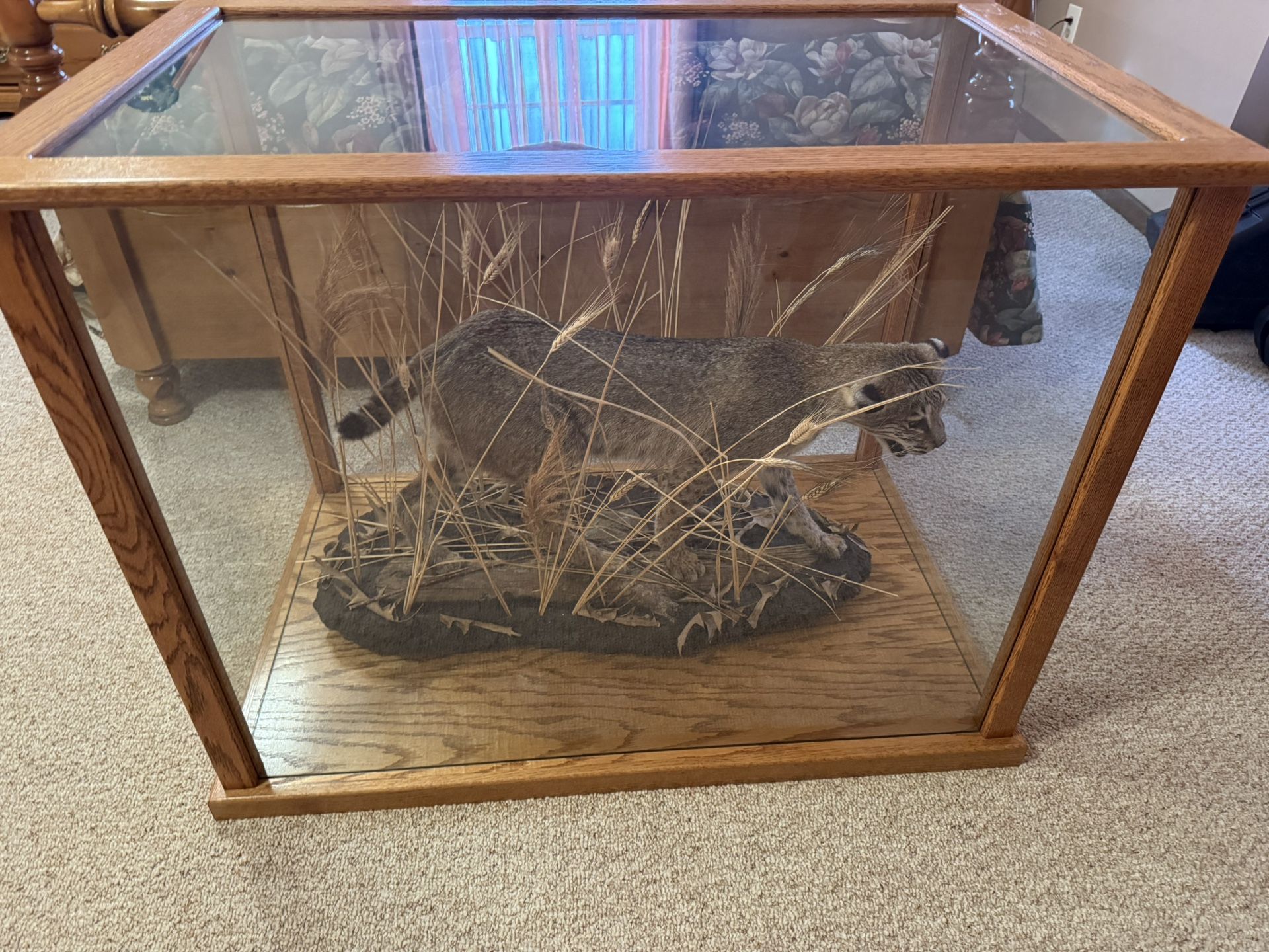 Bobcat And Custom Made Case