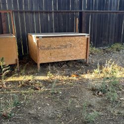 brooder pen 