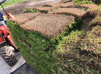 Reliable Professional Sod Dealers