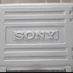 SONY VIDEO CAMERA OR CAMERA HARD CASE BAG