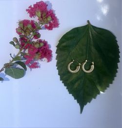 Gold hoop earrings