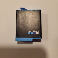 GoPro Battery 