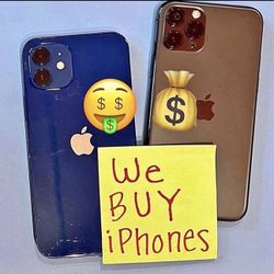 16 Max 256gb New 