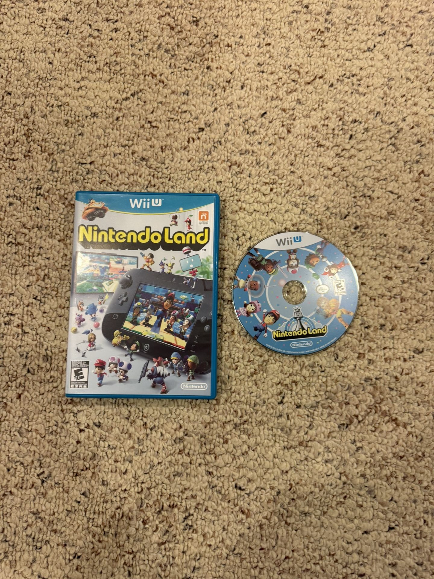 Nintendo land