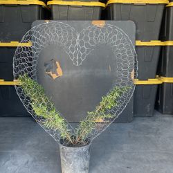 Valentine’s Heart Topiary Plant 