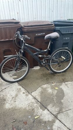 Adult bicycle