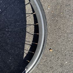 Rim 25-622 (700 x 25 c)