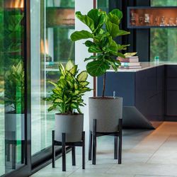 Vaxa Mid Century Self Watering Planter with Stand, 2-pack