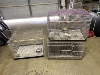 bird cages