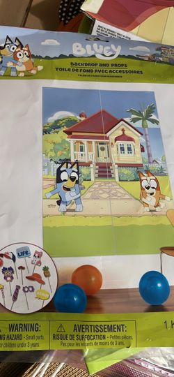 Bluey birthday supplies