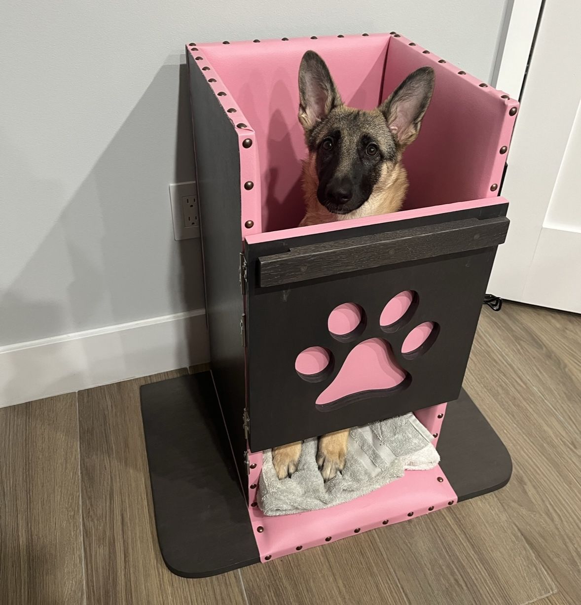 Dog Bailey Chair