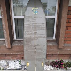 7'0 Fish With Single Fin Surfboard