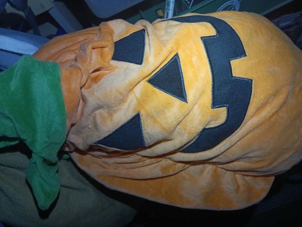 Dog Halloween Costumes And Xmas Jackets All Different Sizes