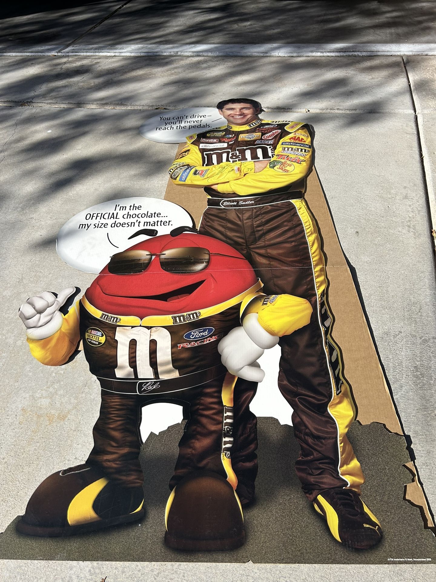 Elliot Sandler NASCAR Life Size Cardboard Cutout**autographed 