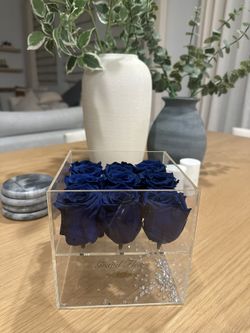 Forever blue Roses - 9 Stems