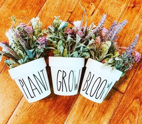 Plant grow bloom planters spring flowers decor