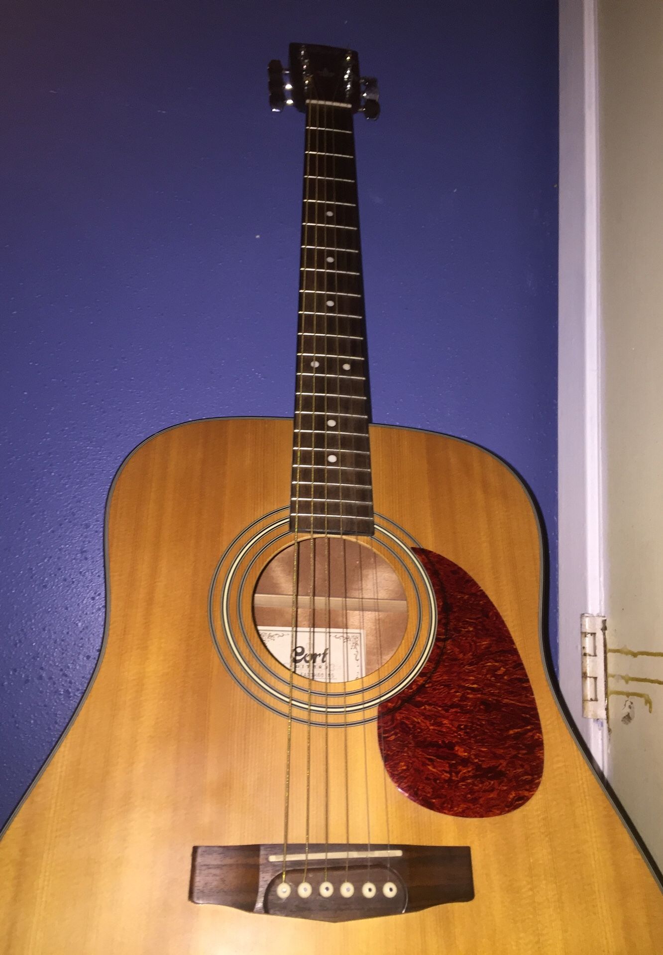 Cort Acoustic Guitar
