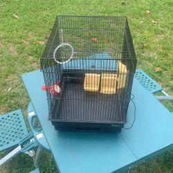 For Sale Beards Gage 