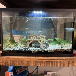 10 Gallon Fish Tank