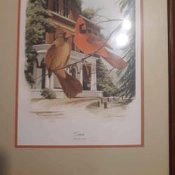 John Ruthven Lmtd Ed Cardinal Print  604/1000