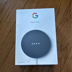 Google Nest Mini