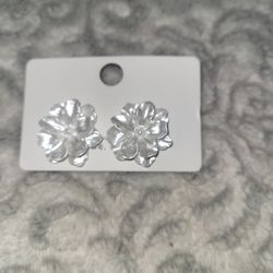 New Earrings