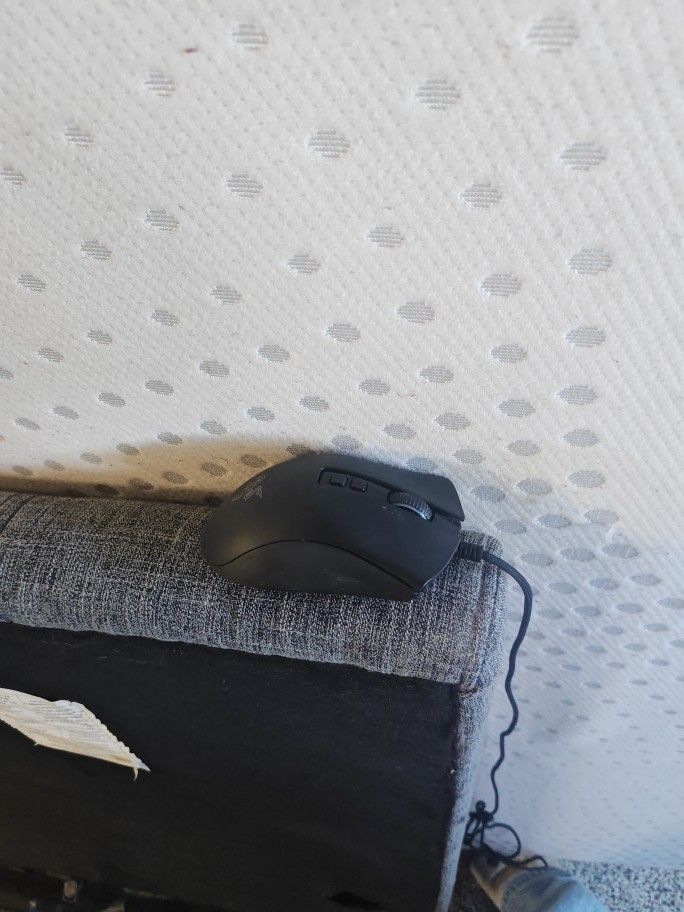 Razer DeathAdder V2 Wired Gaming Mouse – 20K DPI Optical Sensor • Ergonomic Design • RGB Lighting