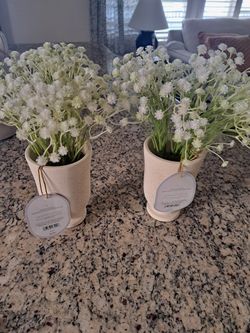 target fake Plant set 2