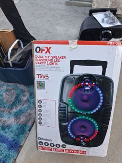 QFX speaker 10'